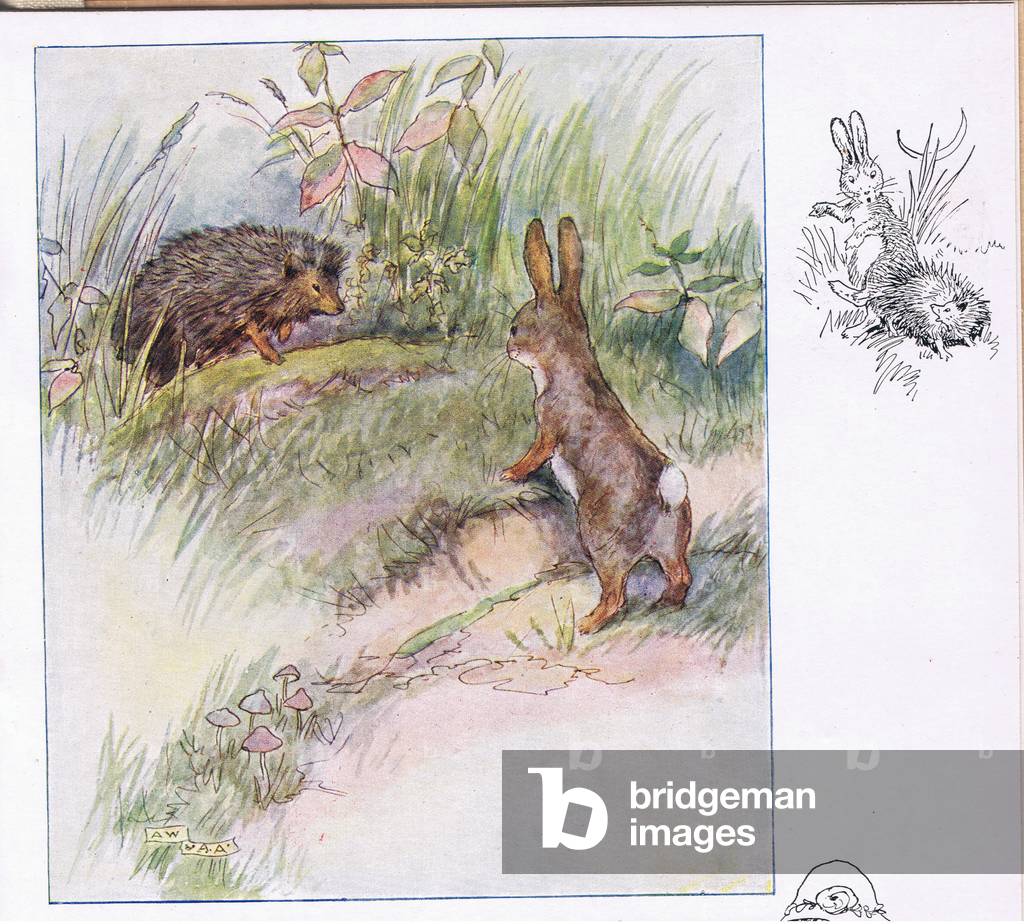 Bild von Druck "Was lustige Dinge (Litho)" von Anne Anderson