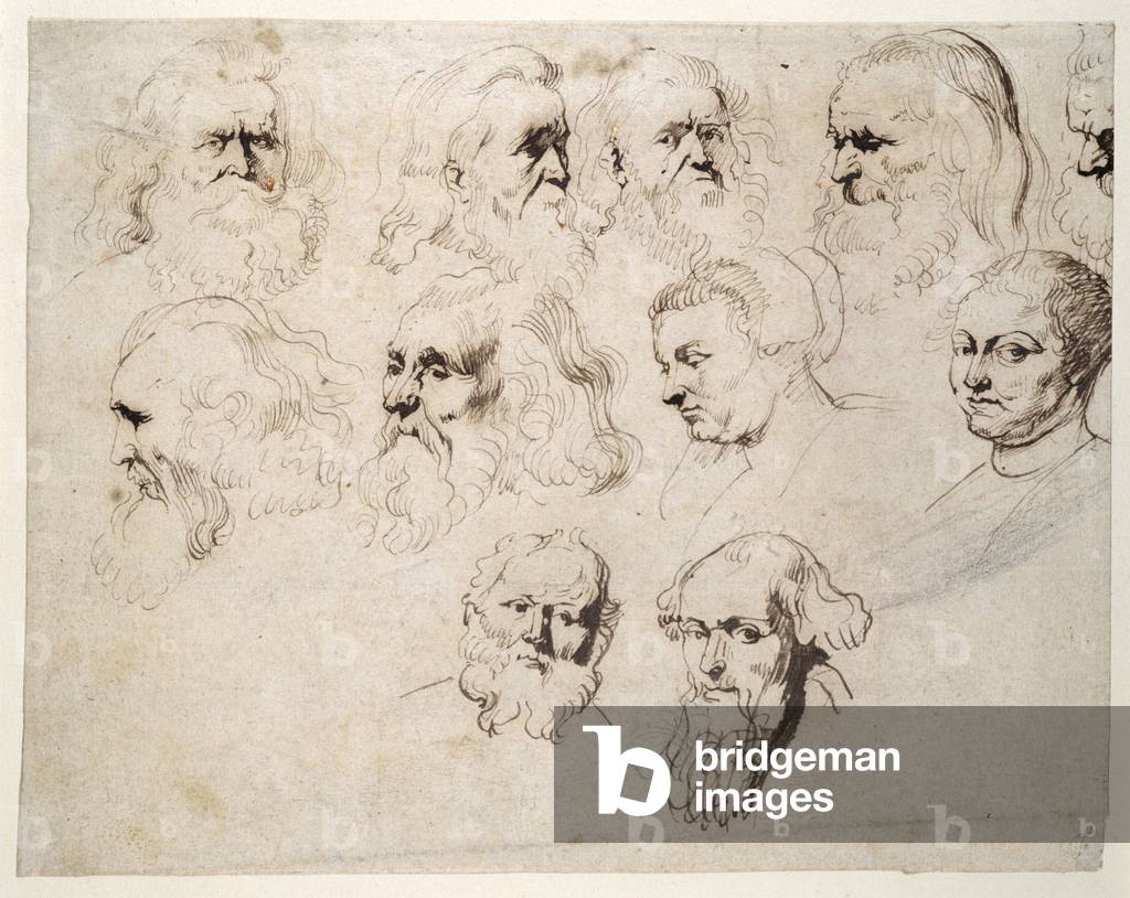 "Sette studi sulla testa di un uomo anziano barbuto" 1616 di Peter Paul Rubens, b/w