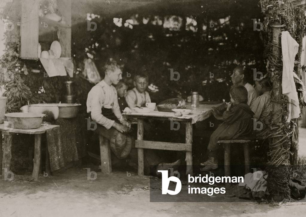 Image of Photography depicting Noon hour on berry farm, b/w