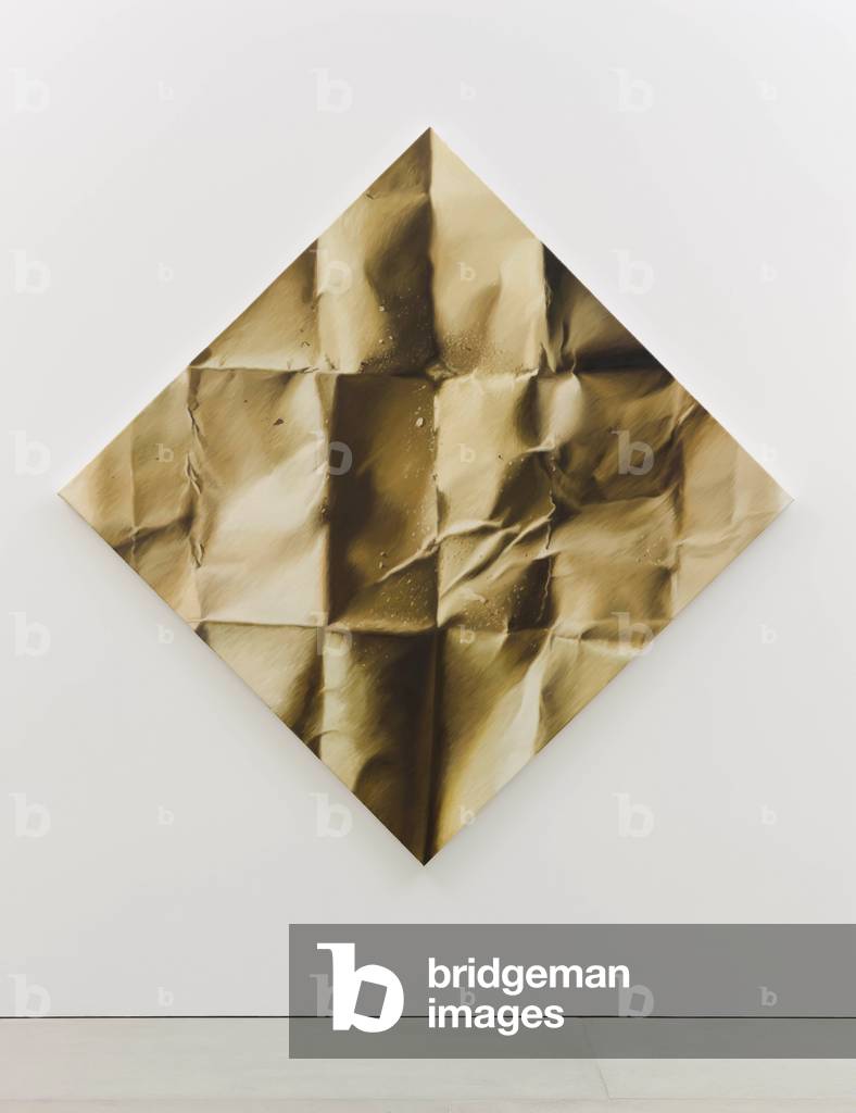 Image of Photography depicting Platinum Lace 2012 by Mat Collishaw