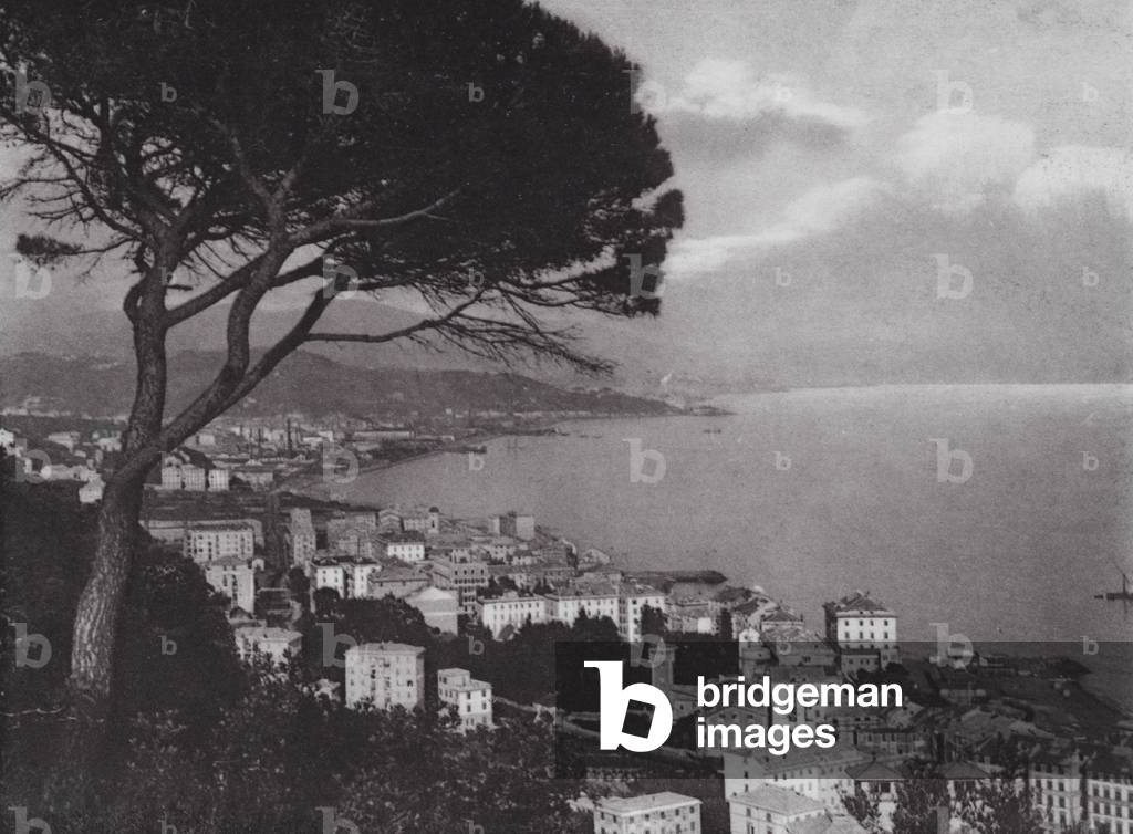 Bild von Fotografie "Pegli" von Italian Photographer
