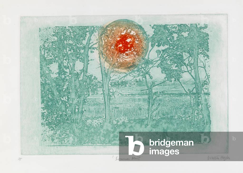Summer Mist (etching)