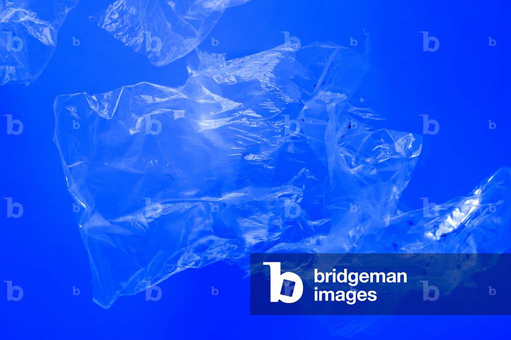 Image de Photographie représentant Sacs en plastique transparents flottant sous l'eau de mer bleue de l'océan 