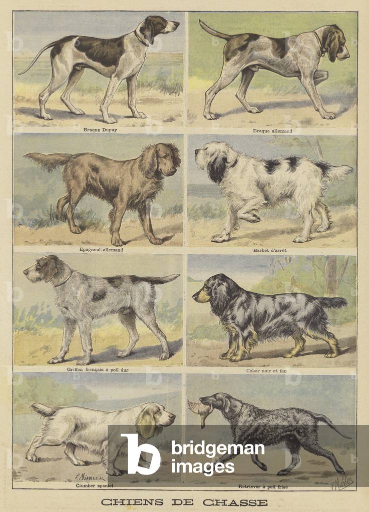 "Jagdhunde (Farbe Litho)" 1801 von French School