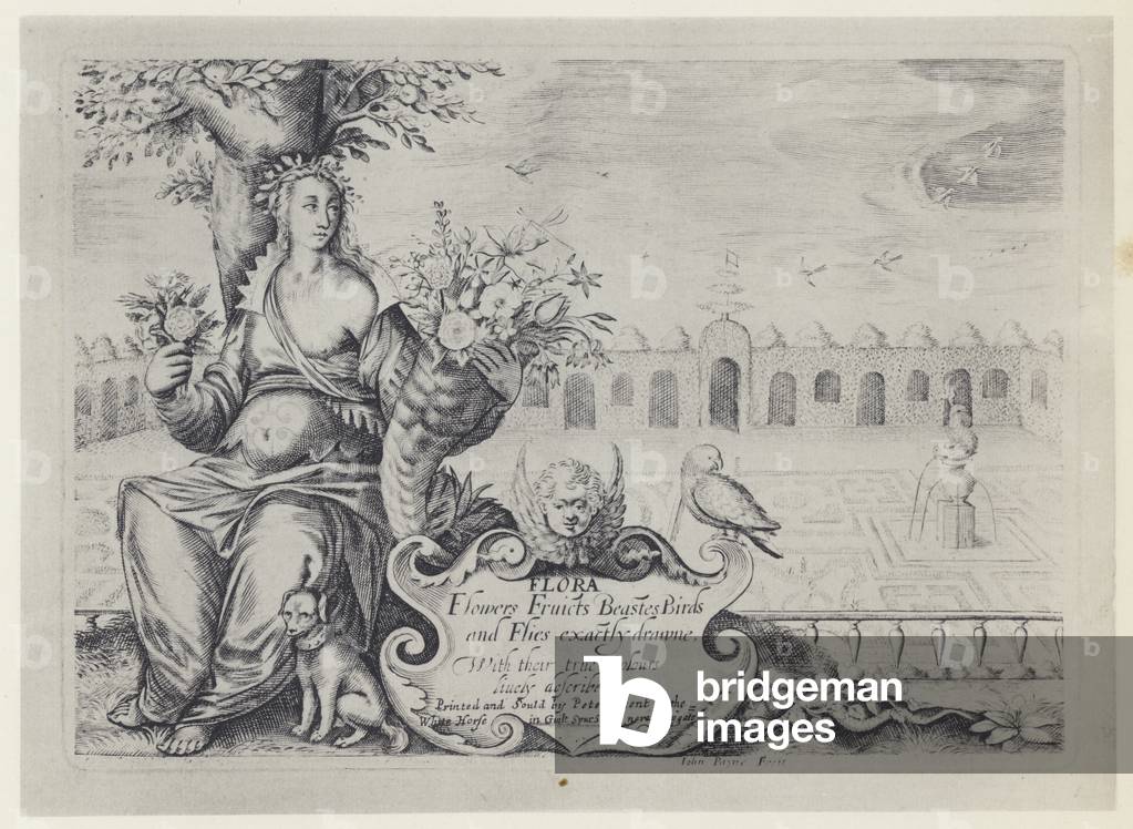 Flora, Fleurs, Fruits, Beastes, P Stent nd (n&b photo)