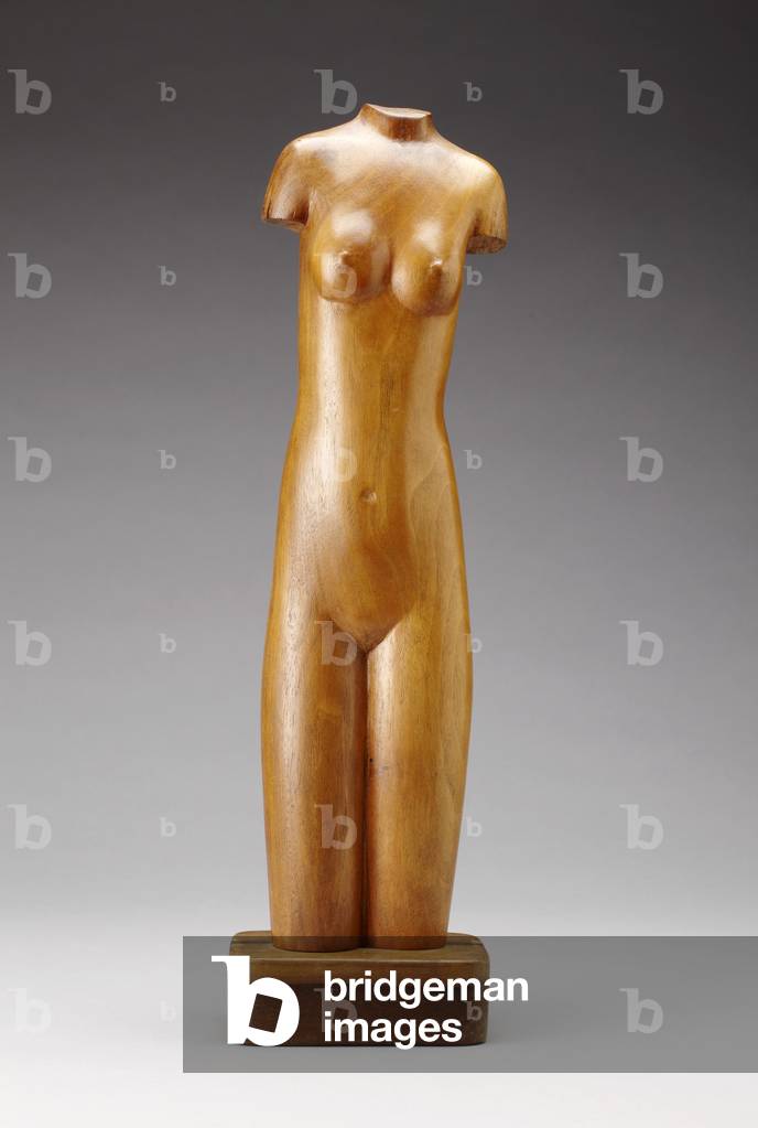 Torso, 1948 (Nussbaum)