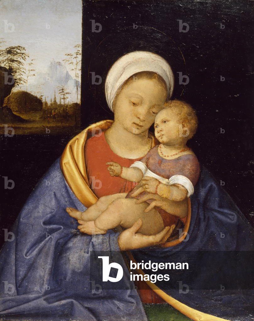 madonna col bambino, 1510-15 (olio su pannello)