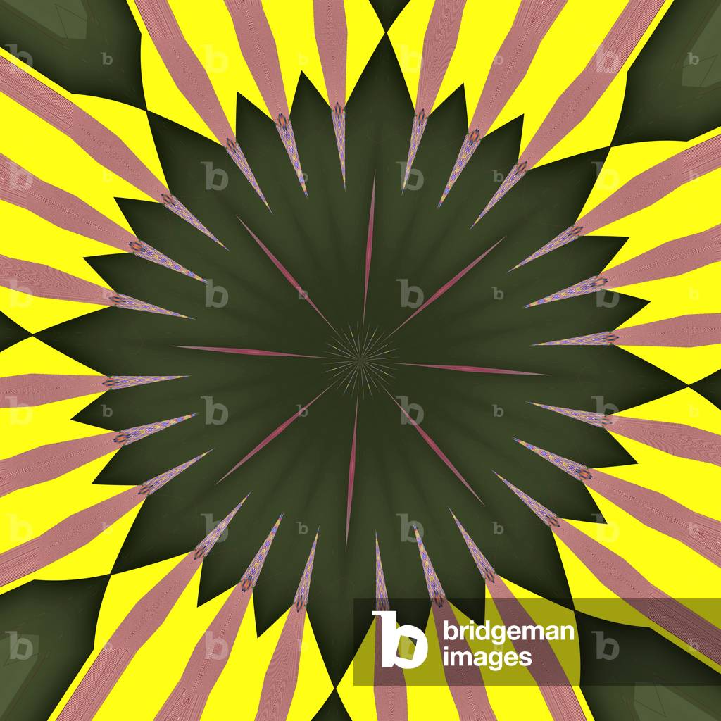 Sonnenblume, 2019 (digital)