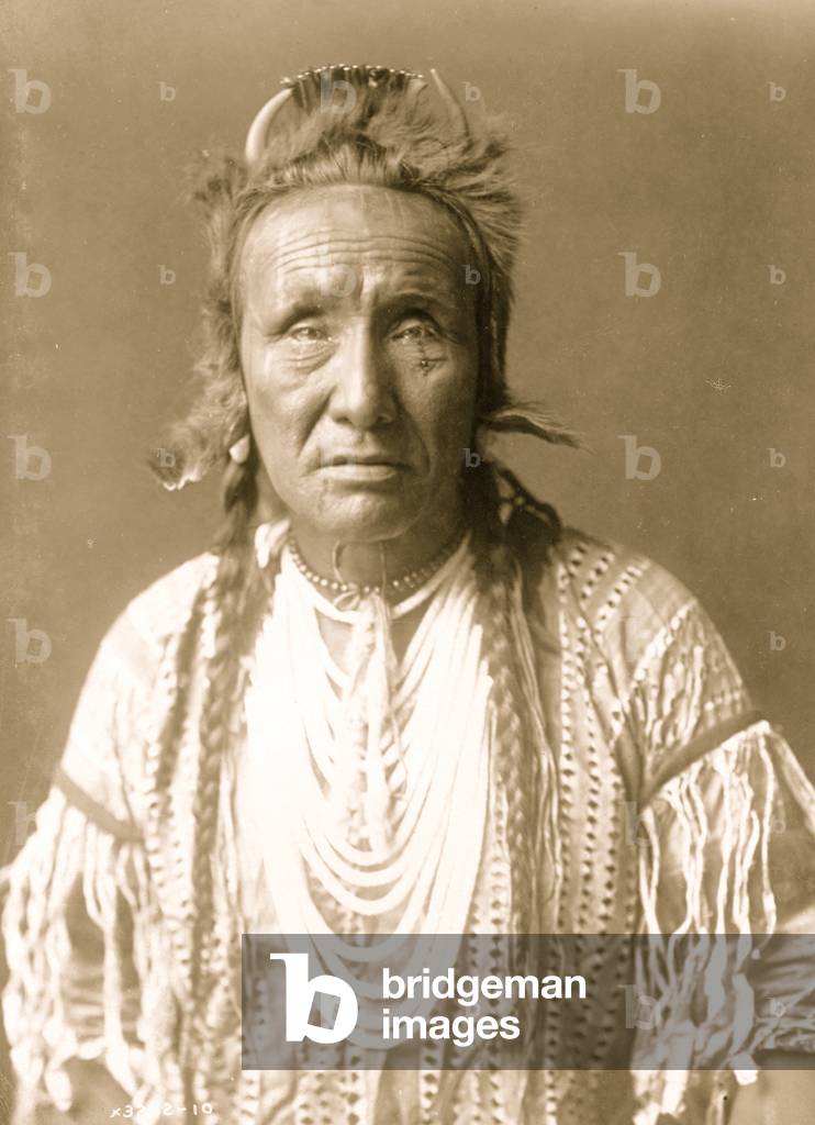 The Grizzly Bear 1910 (Foto)