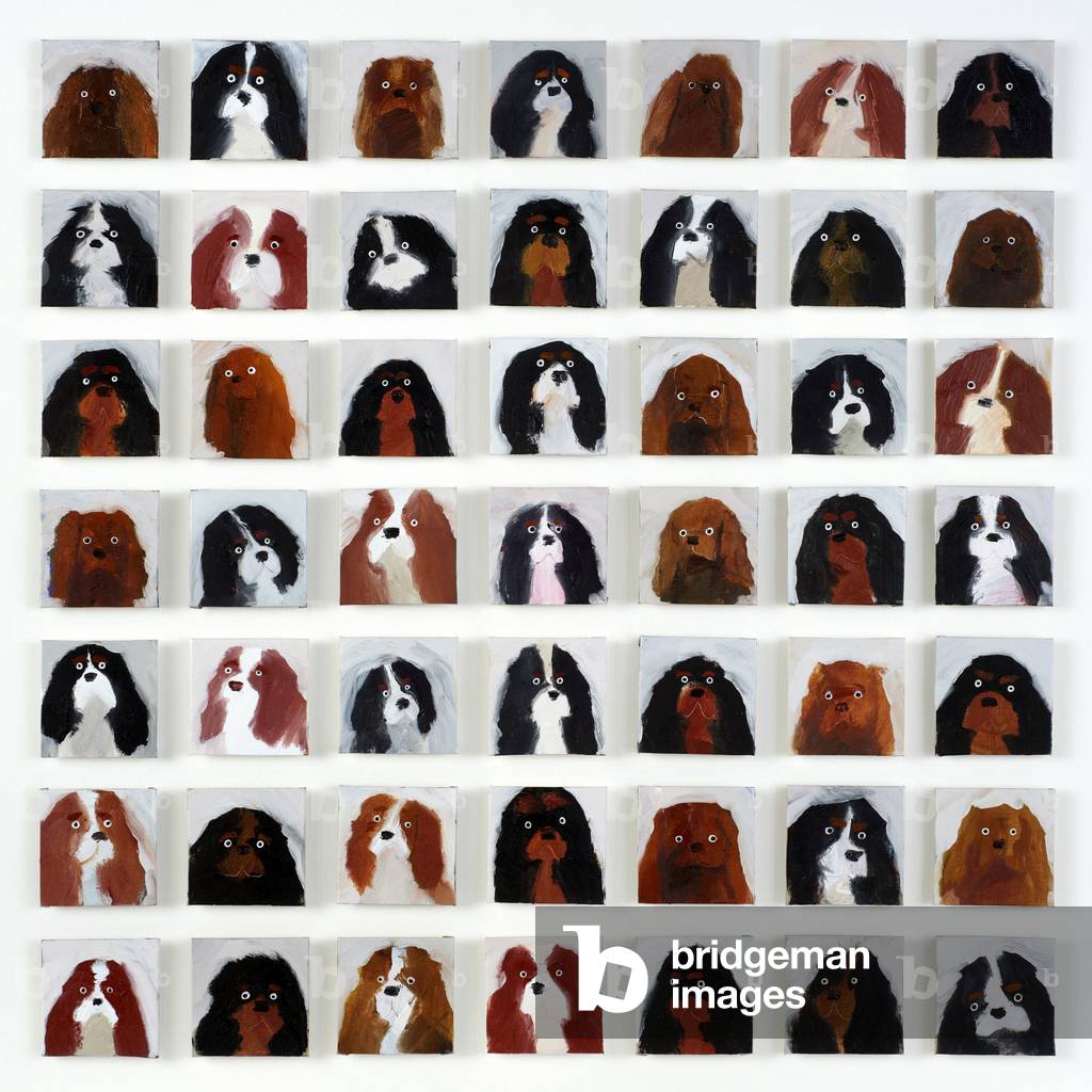 49 Cavalier re Charles Spaniels, 2015 (olio su tela)