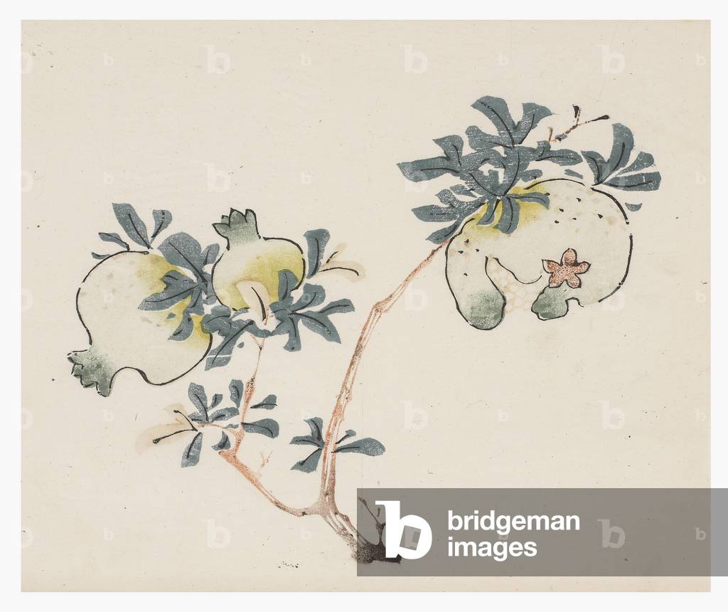 "Serie Ten Bamboo" di Chinese School