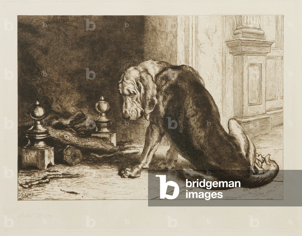 Immagine di Incisione "Un vecchio mastino (acquaforte)" di Briton Riviere, b/w