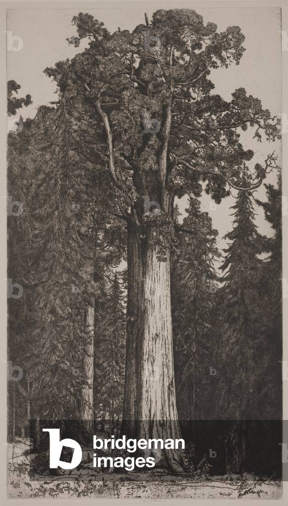 Generale Sherman, 1914 o 1915 (acquaforte)