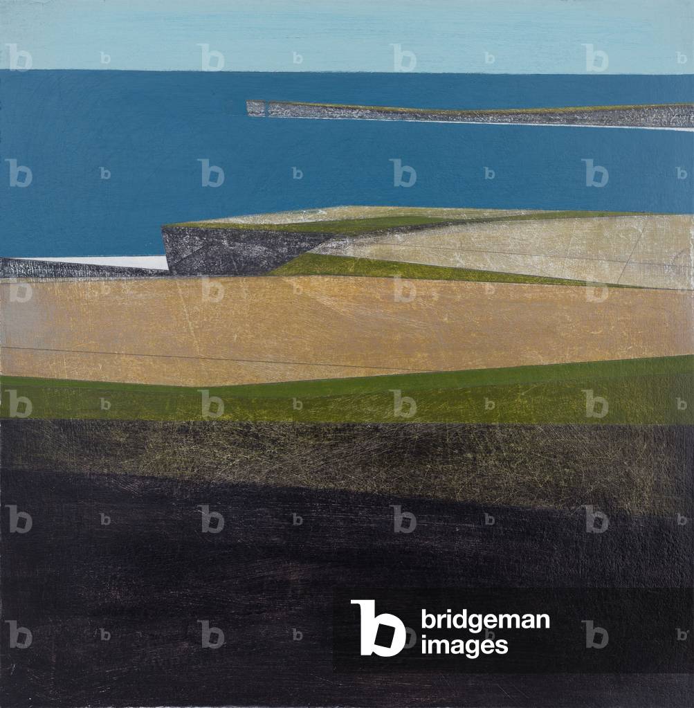 "Bandded Costa 3 (acrilico su tavola)" di Vanessa Gardiner