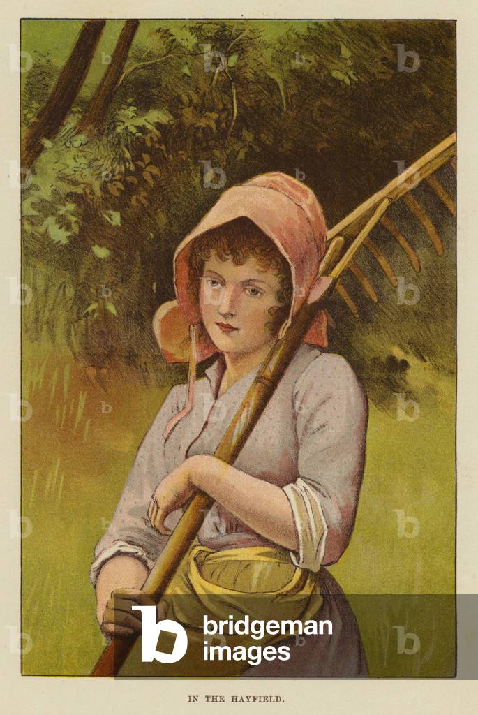 "Nel Hayfield (lito a colori)" 1801 di English School