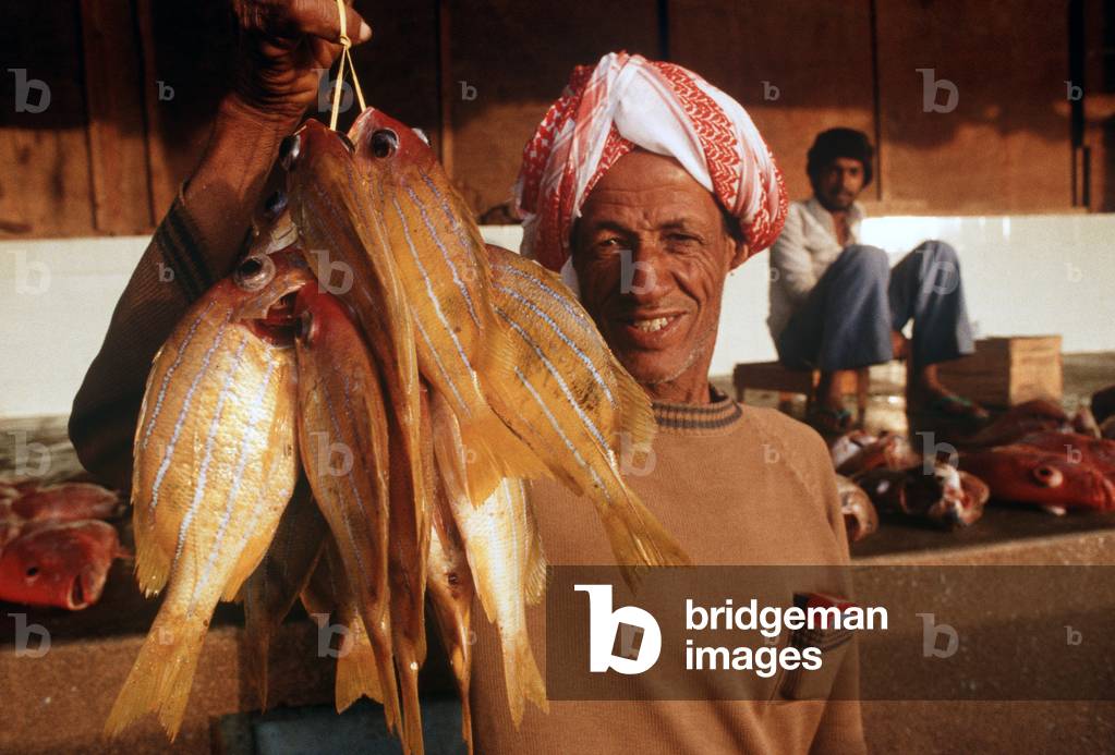 Dubai fish market, Dubai, United Arab Emirates, UAE by