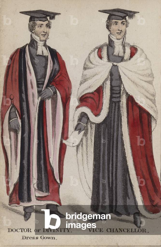 Image of Doctor of Divinity, Dress Gown, Vice Chancellor (coloured  engraving) by English School, (19th century)