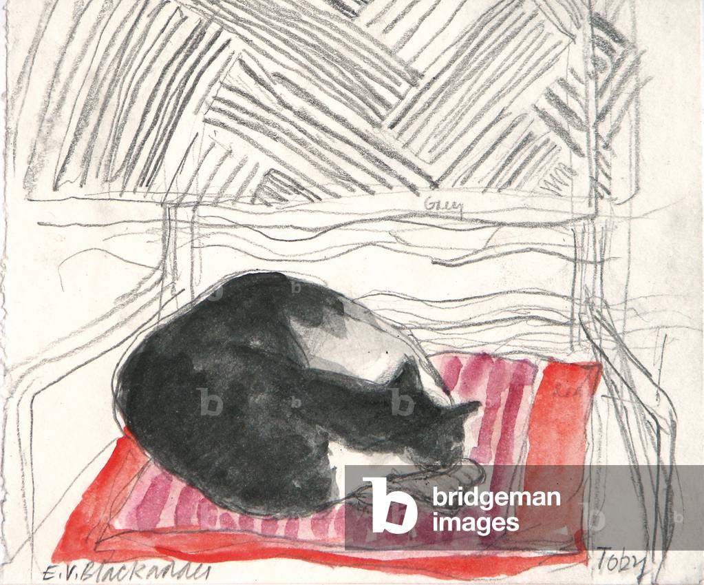 Toby Dormir sur un coussin en soie (crayon & w/c sur papier)