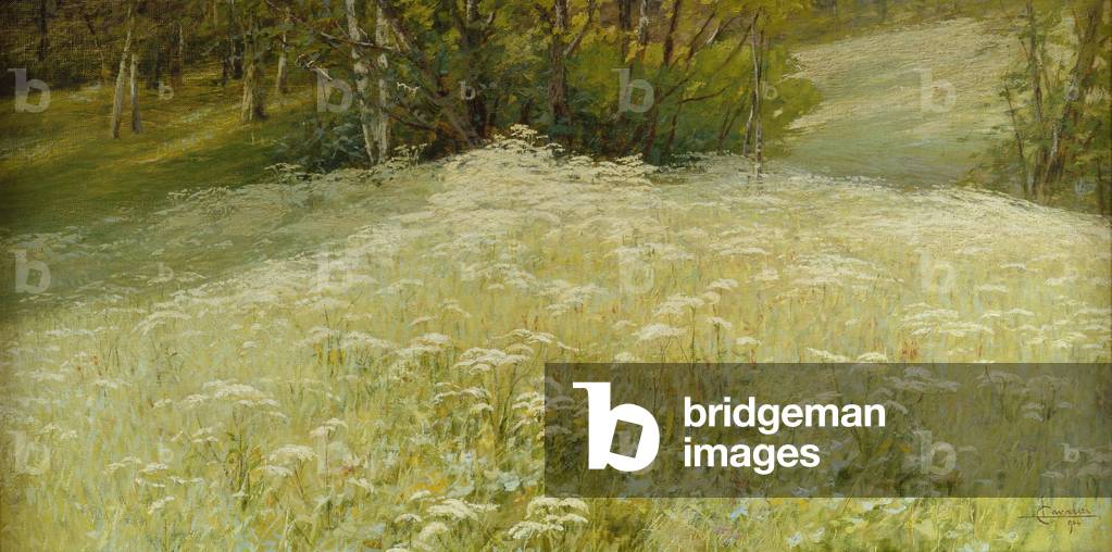 Un prato (olio su tela)