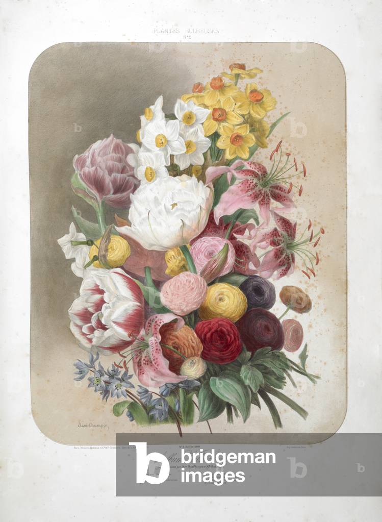 Ein Blumenstrauß