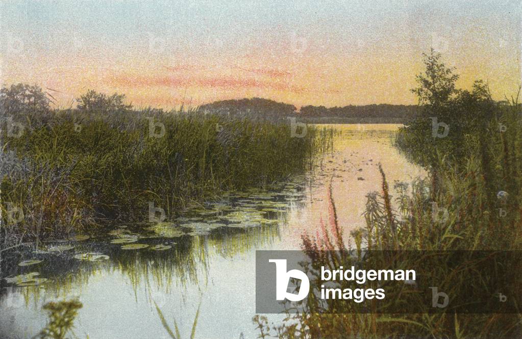 Hoveton Broad (foto)