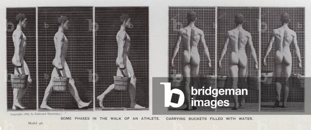 Immagine di Fotografia "La figura umana in movimento: Alcune fasi nella camminata di un atleta" di Eadweard Mu