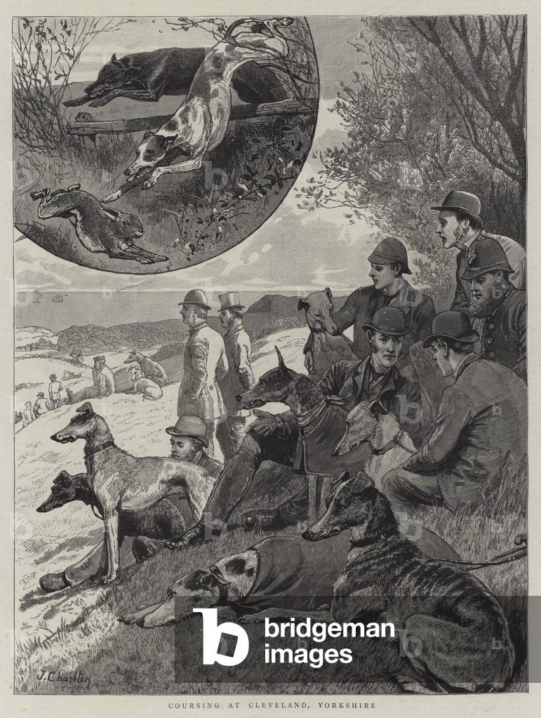 Coursing in Cleveland, Yorkshire (Gravur)