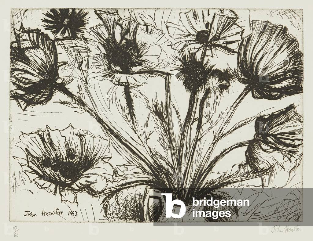Poppies ( etching)