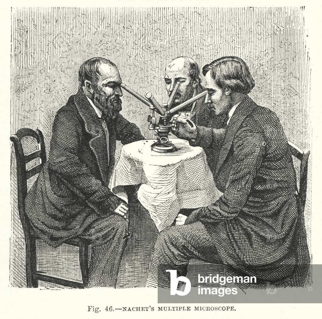 Nachets multiple microscope (engraving) by English Artist
