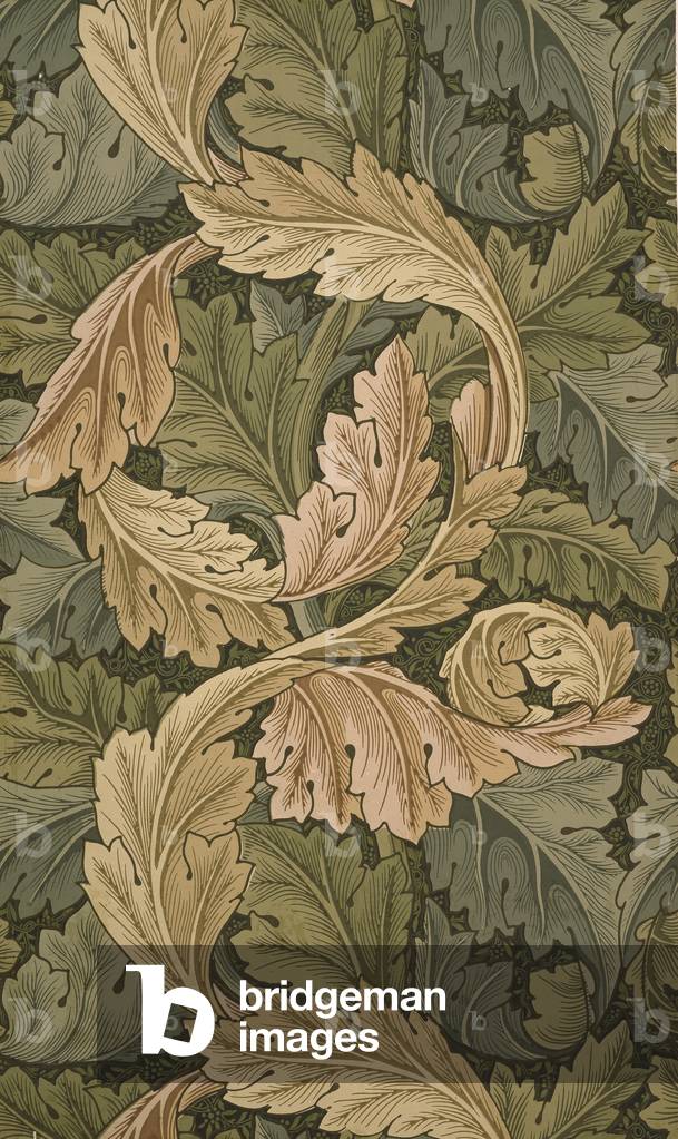 Acanthus, 1864 (wood block printing)