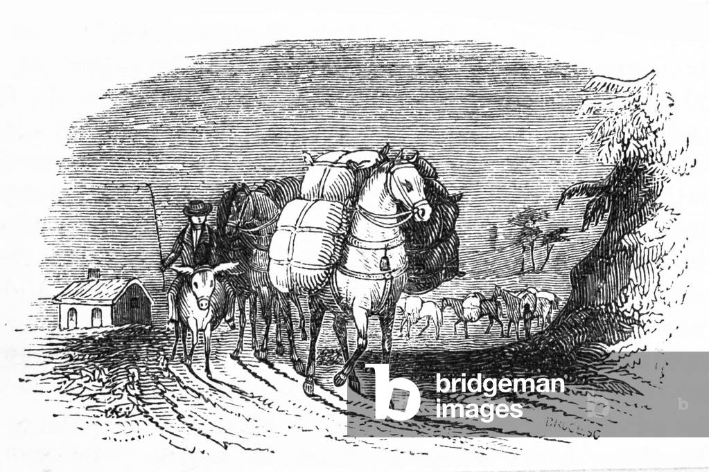 Image of An engraving depicting a packhorse transporting goods, 19th