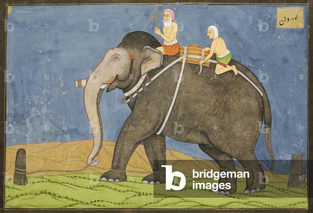 "Due uomini a cavallo su un elefante (guazzo su carta cosparsa d'oro)" di Indian School