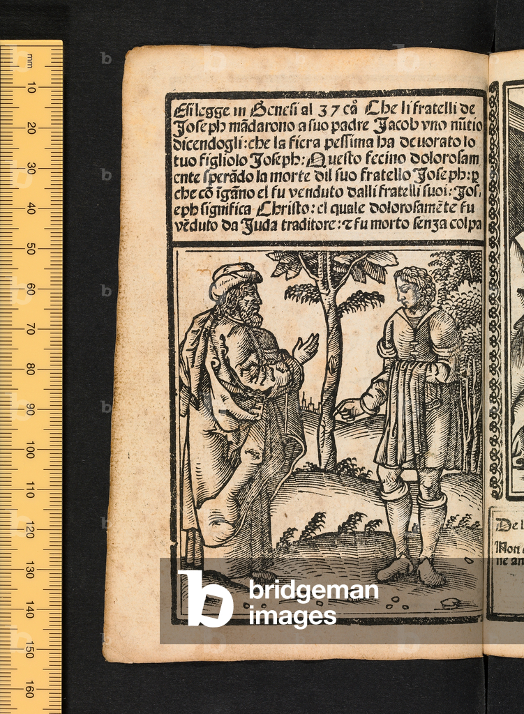 Immagine di Incisione "Figure dell'Antico Testamento" 1525