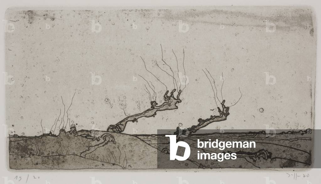 Landschaften oder Landscapes, 1970 (Radierung)