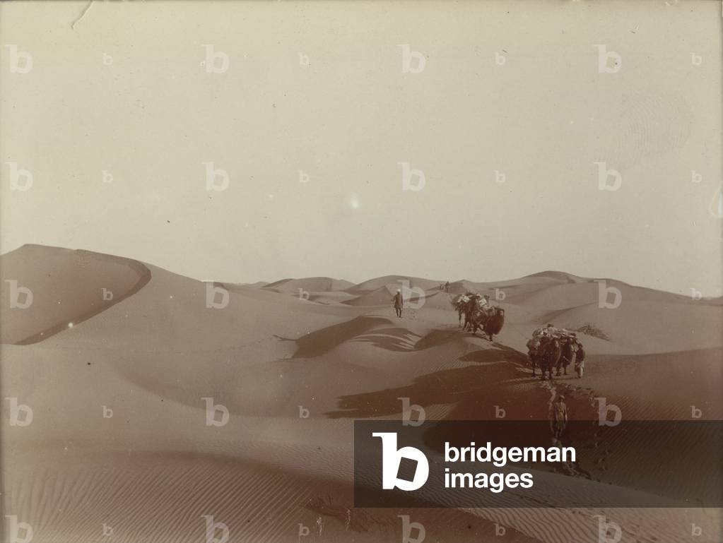 Alte dune a sud del Camp 328