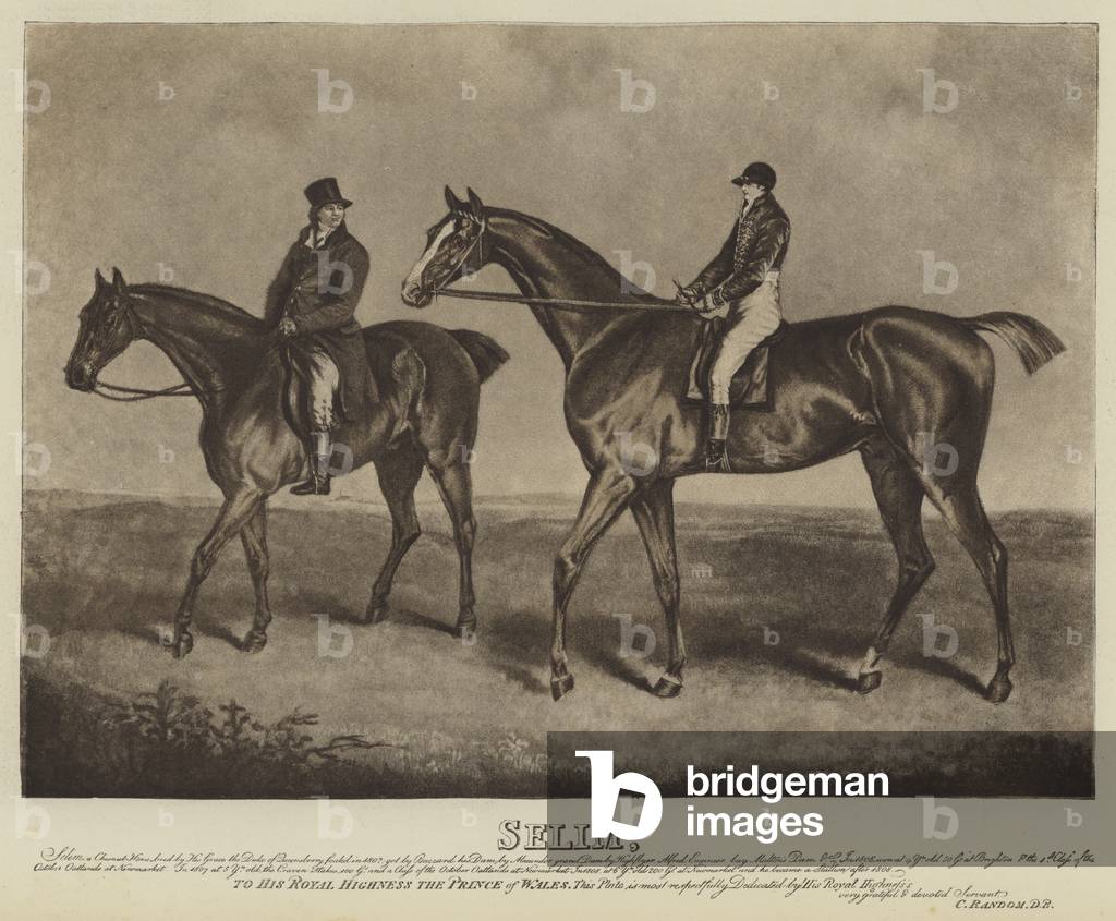 Selim (litho)