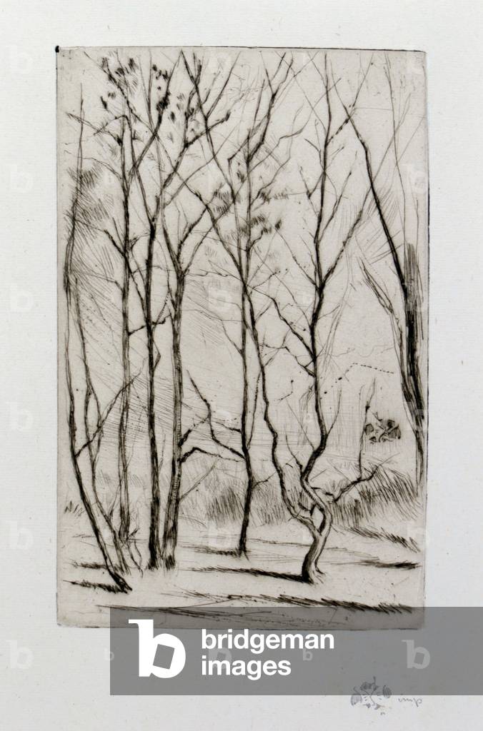 Der Damm Wood, 1875 (Trockenpunkt)