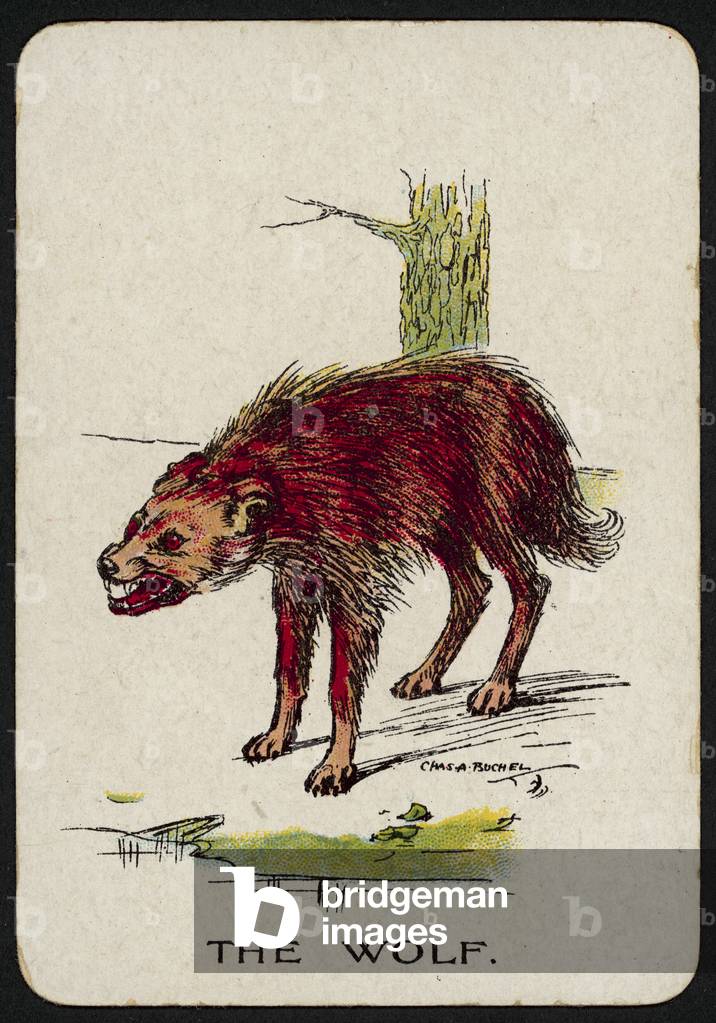 Image of Print depicting The Wolf (colour litho) 1900 by Charles A. Buchel