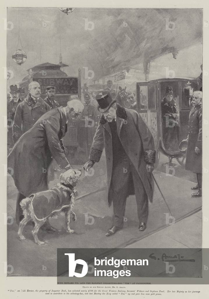 Immagine di Stampa "Re Edward VII e la ferrovia di raccolta-cane «Tim» a Paddington (lito)" 1901 di G.S. Amato