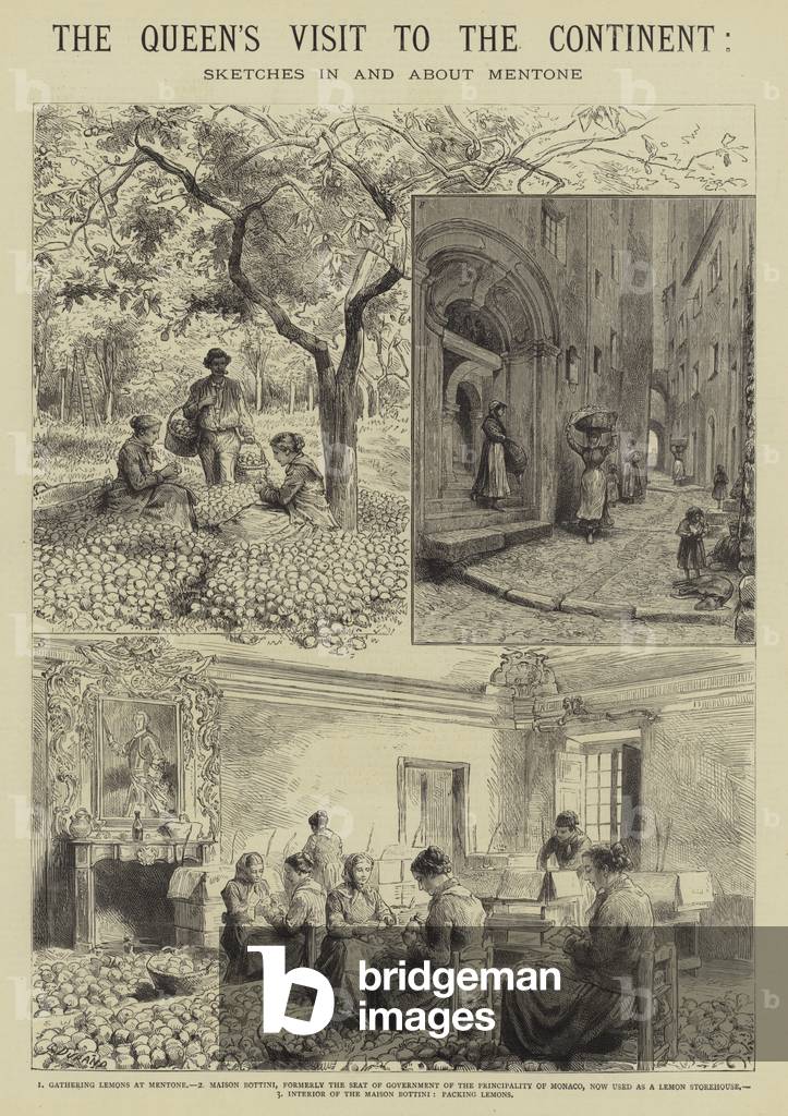 The Queen's Visit to the Continent (engraving)