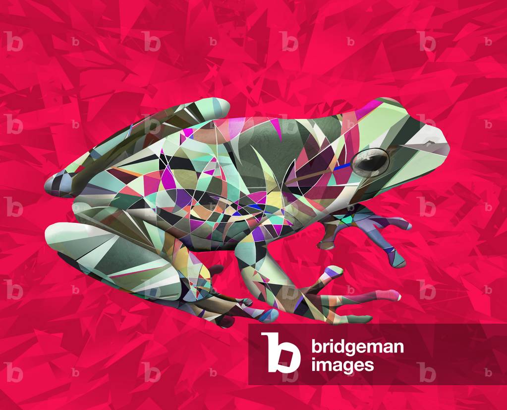 Frog, 2014 (print)