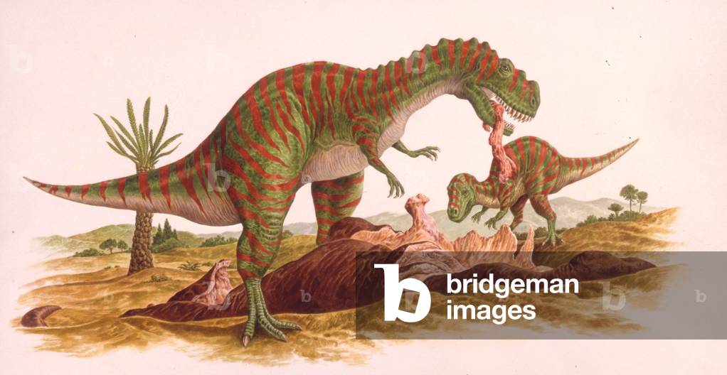 Image of Palaeozoology, Jurassic period, Dinosaurs, Metriacanthosaurus