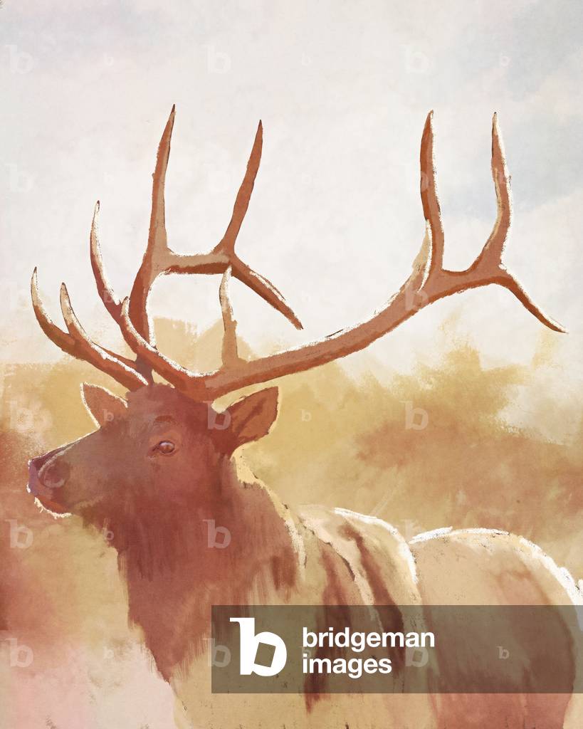 Bild von Digitale Kunst "Bull Elk" 2023 von Roberta Murray