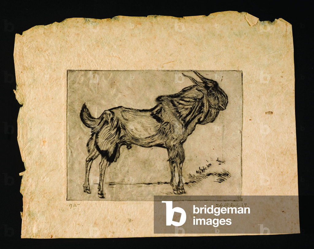 Chèvre, 24 juillet 1937 (gravure)