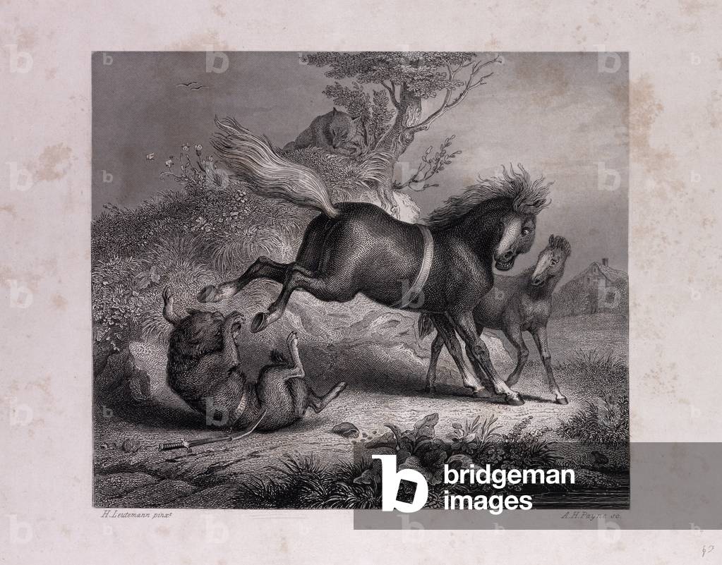 Bild von Gravur "Die Stute und der Wolf"