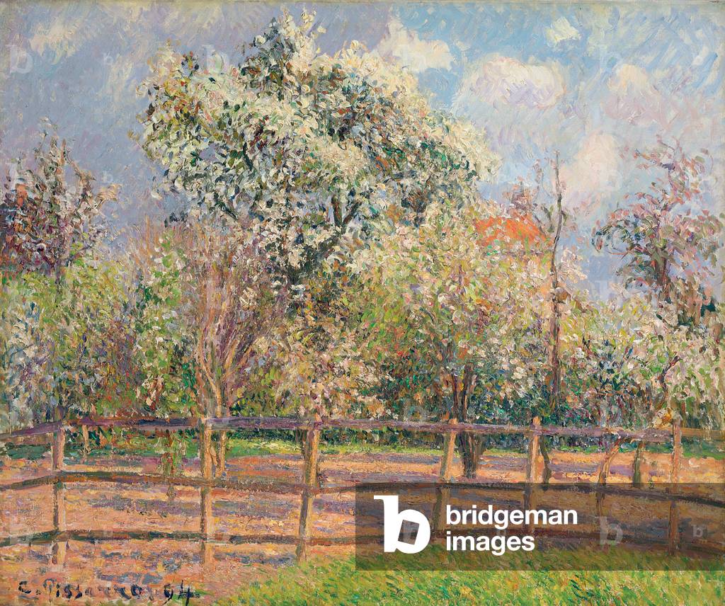 Pera alberi in fiore, Eragny; Poiriers en fleur, Eragny, 1894 (olio su tela)