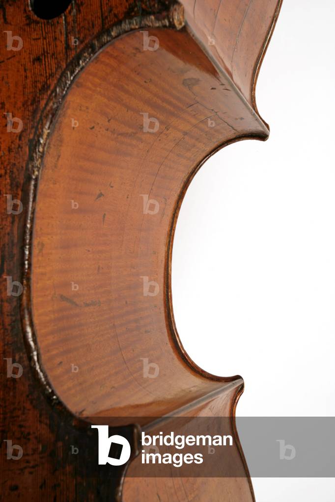 Dettaglio di un contrabbasso