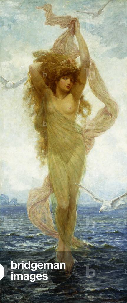 la nascita di Venere, (olio su tela)