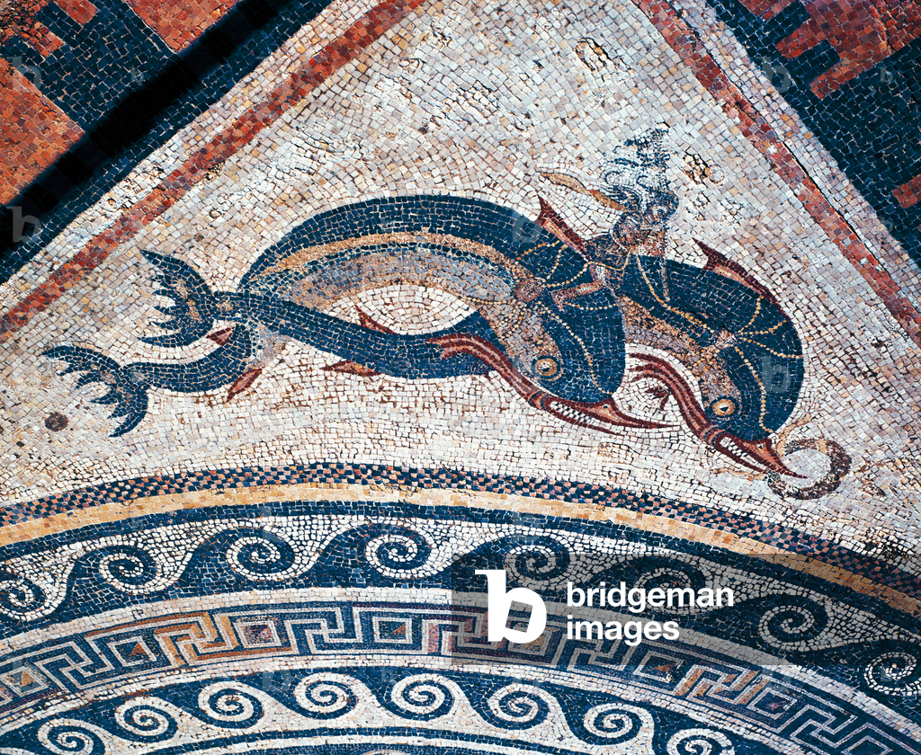 Due delfini. Mosaico della Casa dei delfini
