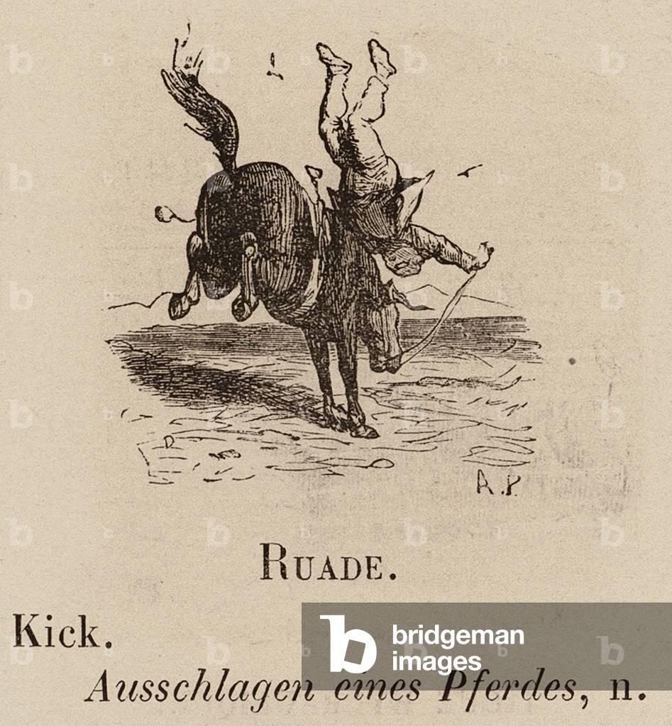 Le Vocabulaire Illustre : Ruade ; Coup de pied ; Ausschlagen eines Pferdes (gravure) 1873 par European School